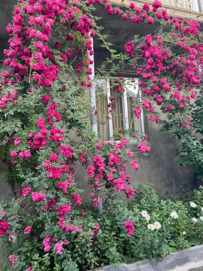 Bed and Breakfast Inexpensive House Vanadzor Exterior foto